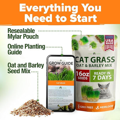 HOME GROWN Non GMO 1 Pound Cat Grass 12,700+ Seeds for Cat & Kittens Oat & Barley Mix 100% Heirloom, Grow Fresh Kitty Grass for Chewing, Pet Grass for Cats Indoor Garden
