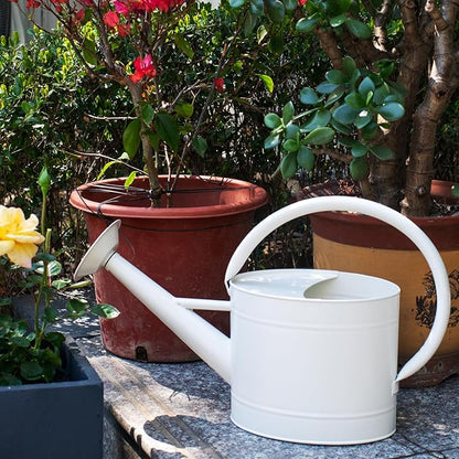 1.3 Gal Watering Can, Matte Cream White Finish, Galvanized, Metal Watering Can, Perfect Plant Water Can for Plants Indoor & Outdoor