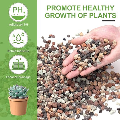 2.5lbs Mix Horticultural Lava Rocks for Plants, 1/5 Inch Potting Soil Amendment for Succulents, Cacti, Bonsai, Decorative Gravel Plant Drainage Volcanic for Terrarium, Top Dressing