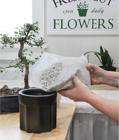 Horticultural Bonsai Pumice Soil Amendment (2 LB), Supplement for Bonsai and Cactus Indoor Plants