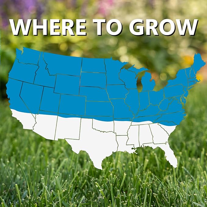 Jonathan Green (11980) Blue Panther Kentucky Bluegrass Grass Seed - Cool Season Lawn Seed (25 lb)