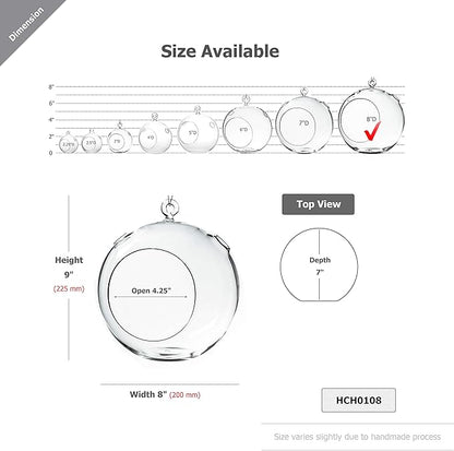 WGV Hanging Terrarium Globe, Width 8", Height 9", DIY Air Succulent Planter, Clear Glass Vase Orb with Flat Bottom, Candle Holder for Windowsill Outdoor Garden Decor, 6 Pieces Bulk