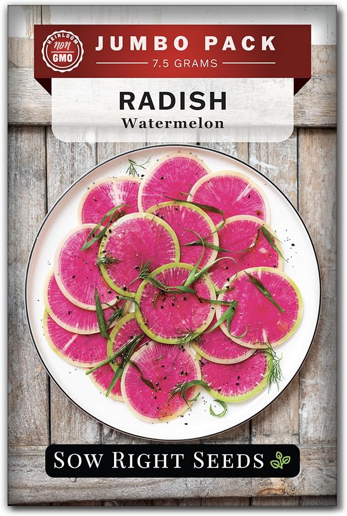 Sow Right Seeds - Bulk Watermelon Radish Seed for Planting - 10 Grams, 1000 Seeds - Non-GMO Heirloom Jumbo Pack - Easy to Grow with High Yields - Grow Loads of This Rare Variety - Vibrant Interior