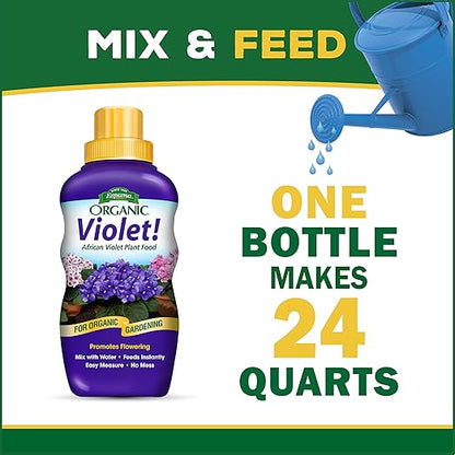 Espoma Organic Violet! 8-Ounce Concentrated Plant Food – Plant Fertilizer and Bloom Booster for All Violets and Indoor Flowering Plants. Promotes Vigorous Growth and Blooming. Pack of 2