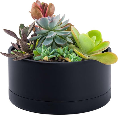 D'vine Dev 8 Inch Plastic Shallow Planter, Large Round Succulent Plant Pot with Drainage Hole and Sauce, Decorative Bonsai Pot for Indoor Plants, Black, 76-Z-B-1