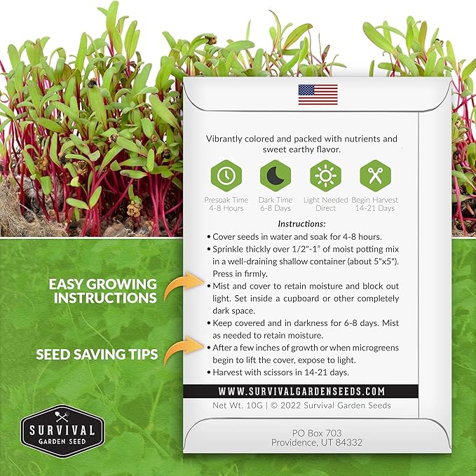 Beet Microgreen Seeds for Sprouting - Non-GMO Heirloom Beet Seeds to Grow Red Microgreens - Indoors or Hydroponic - Fast Growth, Sweet Flavor - Survival Garden Seeds (1 Pack)