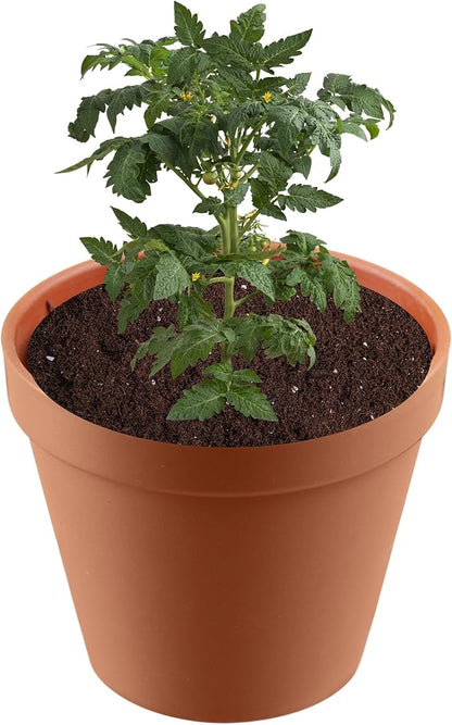 Premium Potting Soil for Indoor Plants, Outdoor Gardens, Vegetables – Ideal Planting Soil, Tropical Mix and Garden Soil Half Quart
