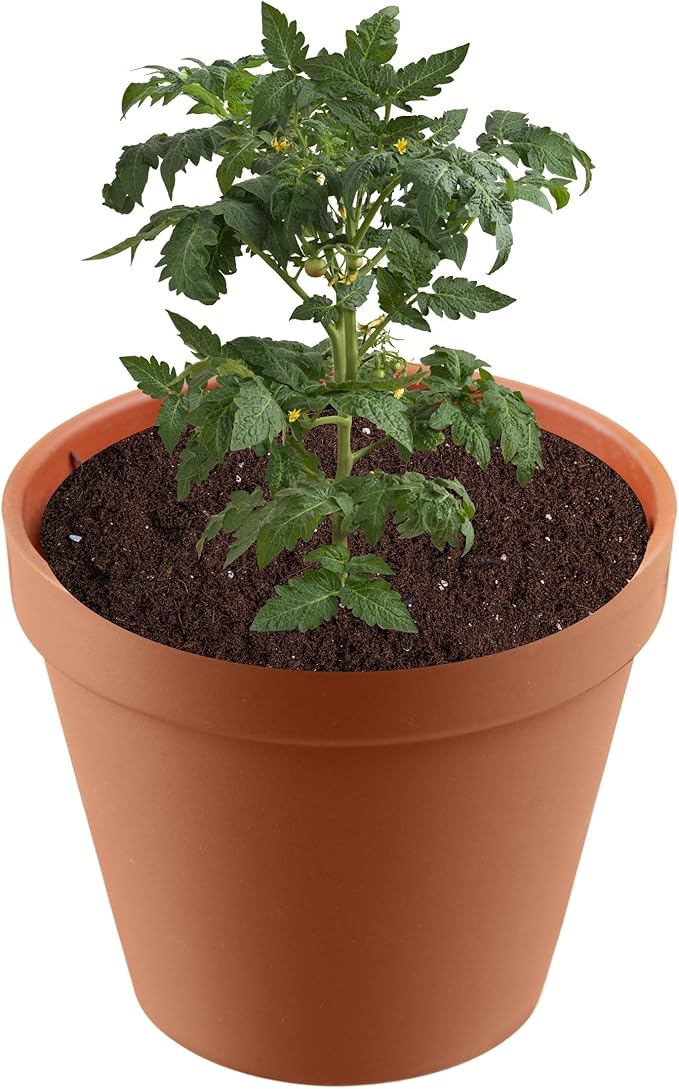 Premium Seed Starter Soil - Ideal for Seed Starting & Gardening - Complete Seed Starting Mix Included 1 Quart