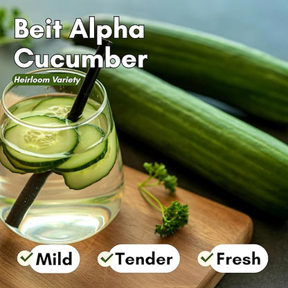 Beit Alpha Persian Cucumber Seeds for Planting - Heirloom, Non-GMO Cucumbers with Mild Flavor & Thin Skin – Fresh Eating Garden Seeds | Woods Creek Seeds