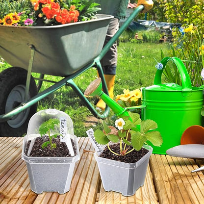 42 Pack 4 Inch Clear Plant Nursery Pot Sets with Humidity Dome and Drain Holes Include 20 Plastic Gardening Pot 20 Labels, 2 Marker Pen Seed Starting Container for Seedlings Vegetables Succulents