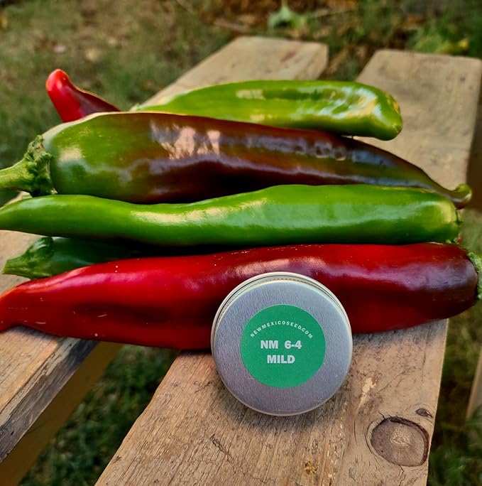 New Mexico 6-4 Chile Seeds from Hatch | Mild Green Chili | Red Chili Peppers | Heritage Non-GMO | Produced for 2026