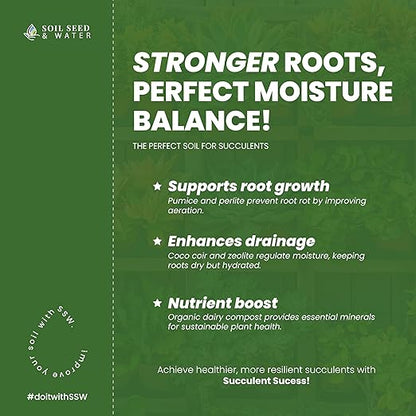 Soil Seed & Water Succulent Success Potting Mix – Fast-Draining Soil for Succulents, Cactus & Houseplants - Indoor and Outdoor Mix - OMRI Listed