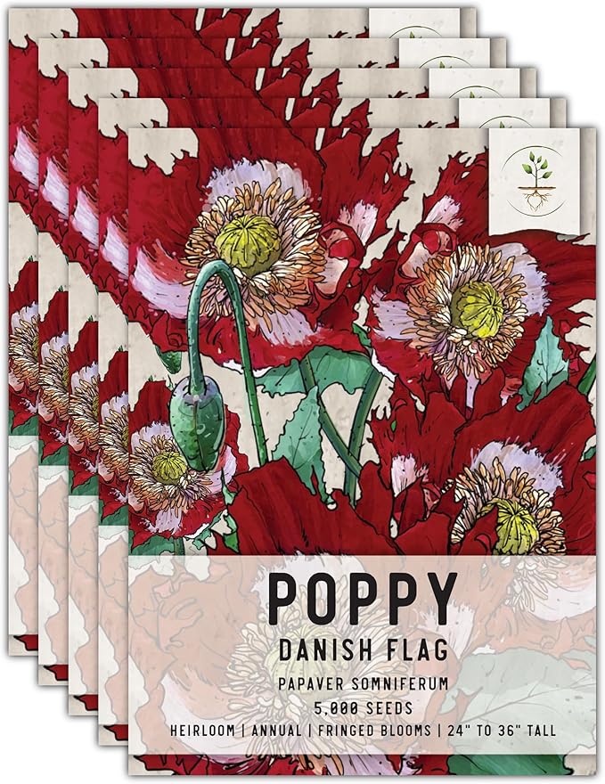 Seed Needs Danish Flag Poppy Seeds for Planting - Heirloom & Open Pollinated Annual Flowers - Attracts Pollinators/Butterflies to a Butterfly Garden (5 Packs)