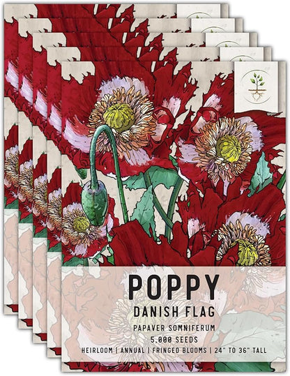 Seed Needs Danish Flag Poppy Seeds for Planting - Heirloom & Open Pollinated Annual Flowers - Attracts Pollinators/Butterflies to a Butterfly Garden (5 Packs)