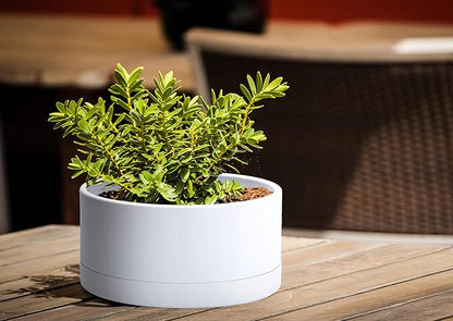 D'vine Dev 8 Inch Plastic Shallow Planter, Large Round Succulent Plant Pot with Drainage Hole and Sauce, Decorative Bonsai Pot for Indoor Plants, White, 76-Z-A-1