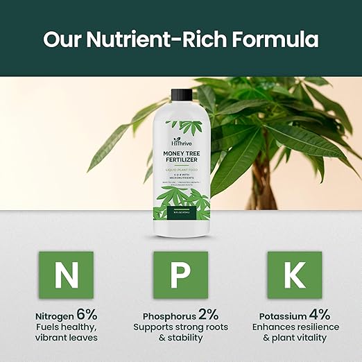 16oz Money Tree Plant Indoor Fertilizer - Makes 96 Gallons of Money Tree Fertilizer - Nutrient-Rich Plant Food with Macro & Micronutrients for Glossy Leaves, Strong Roots, and Lush, Tropical Growth