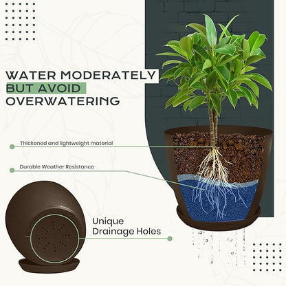Utopia Home - Plant Pots Indoor with Drainage - 7/6.6/6/5.3/4.8 Inches Home Decor Flower Pots - Pack of 10 Plastic Planters for Indoor Plants, Cactus, Succulents Pot - Brown