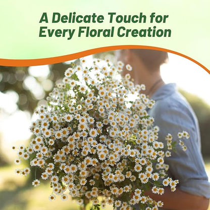 Outsidepride Feverfew Chrysanthemum Seeds - 10000 Pcs. Perennial, Drought Tolerant Flower Seeds for Planting in Pollinator Gardens, Cut Flowers & Low Maintenance Landscaping
