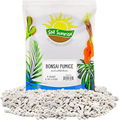 Soil Sunrise Horticultural Bonsai Pumice Soil Additive (4 Quarts) 7LB Ideal Substrate for Bonsai Trees, Cactus and Succulents