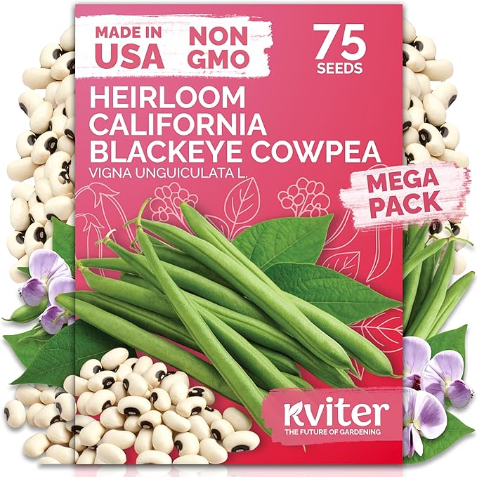 KVITER 75 California Black Eyed Peas Seeds for Planting (Vigna Unguiculata L.) — Cowpeas, Heirloom, Non GMO & Organic Peas, Field Peas, Heavy Yield — Vegetable Seeds for Outdoor Garden, Containers