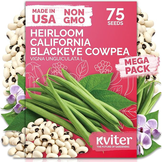 KVITER 75 California Black Eyed Peas Seeds for Planting (Vigna Unguiculata L.) — Cowpeas, Heirloom, Non GMO & Organic Peas, Field Peas, Heavy Yield — Vegetable Seeds for Outdoor Garden, Containers