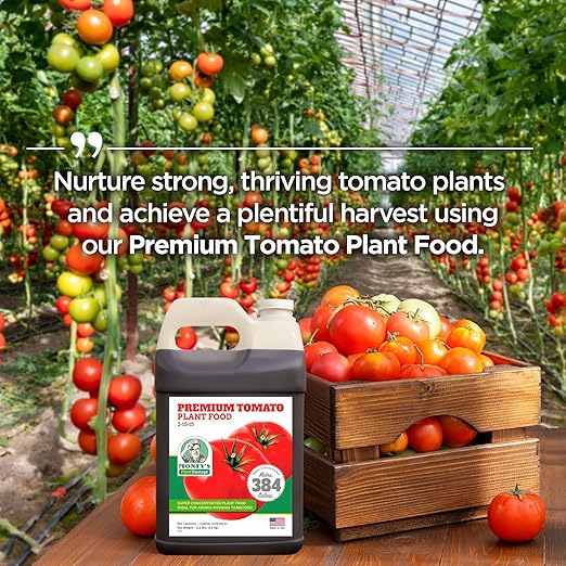 PlantVantage Concentrated Tomato Plant Food – Liquid Fertilizer with Humic Acid & Zinc, Liquid Plant Food Supporting Strong Roots, Bigger Blooms & Higher Yields, Easy Root Feed or Foliar Spray – 1 Gal