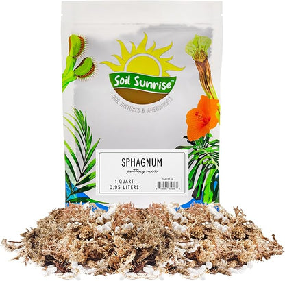 Soil Sunrise Sphagnum Moss Potting Mix (1 Quart) for Carnivorous Plants: Blend of Dried Moss with Perlite