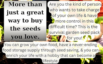 40 Vegetable & Fruit Seeds for Planting Your Outdoor & Indoor Home Garden. 25,000 Seeds, 40 Plant Markers, Growing Guide, & Survival Package. Heirloom Non-GMO Veggies by B&KM Farms (1, Large)
