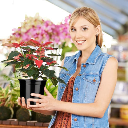 Eaasty 200 Pcs Plastic Plant Pots 3 4 5 6 Inch Plant Nursery Pots with Drainage Holes Black Garden Pots Round Seedling Pots Thickened Soft Plastic Flower Pots for Seedling Cutting Transplanting