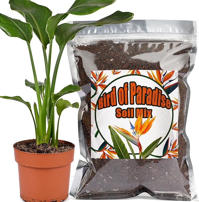 Organic Bird of Paradise Potting Soil Mix 2qt, Ideal for Indoor/Outdoor Potted Plants, Promotes Optimal Growth for Bird of Paradise