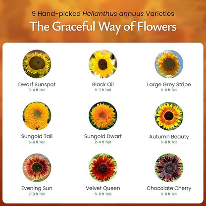 Created By Nature Sunflower Seeds to Plant, 9-Variety Sunflower Seed Mix, 1,000 Seeds