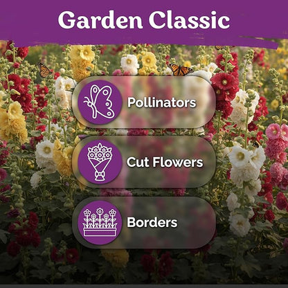 KVITER 150 Chaters Hollyhock Seeds for Planting (Alcea rosea) - Heirloom | Tall Blooms | Pollinator Magnet - Double Hollyhocks Flower Seeds to Plant Outside in Garden, Cottage Borders, Containers