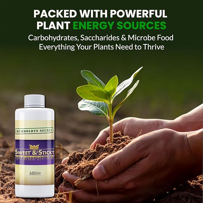 Humboldts Secret Sweet & Sticky Carbohydrate and Saccharide Plant Energy Additive | Indoor and Outdoor Plant Nutrients Enhancer for Growth and Aroma | Boosts Flavor and Development | 8 Ounce