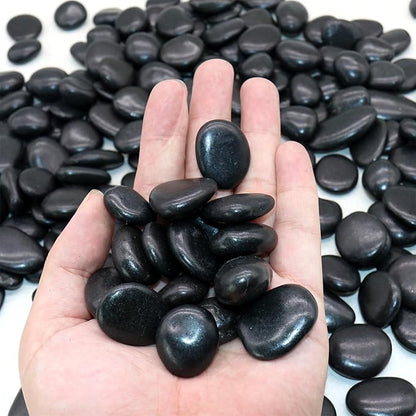 Black Rocks for Plants. Polished Decorative Pebbles. 1/2 to 1 Inch 10 lbs. for Garden, Landscaping, Succulents, pots (SM (0.5 to 1 Inch), -Polished, 10)