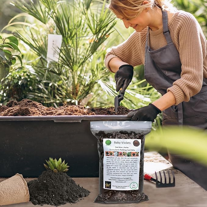 Succulent & Cactus Plant Potting Soil Mix Peat Moss & Perlite, 1 Quart (1qt 4 Level Cups)
