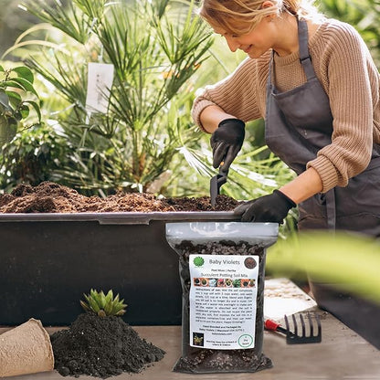 Succulent & Cactus Plant Potting Soil Mix Peat Moss & Perlite, 1 Quart (1qt 4 Level Cups)