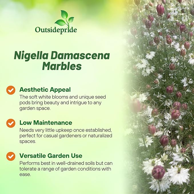 Outsidepride Jewels Marbles Nigella Seeds - 1000 Pcs Annual Flower Seeds for Planting with Vibrant Blooms & Lacy, Fern-Like Foliage, Attractive Cut Flower for Small Garden Spaces & Floral Arrangements