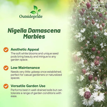 Outsidepride Jewels Marbles Nigella Seeds - 1000 Pcs Annual Flower Seeds for Planting with Vibrant Blooms & Lacy, Fern-Like Foliage, Attractive Cut Flower for Small Garden Spaces & Floral Arrangements