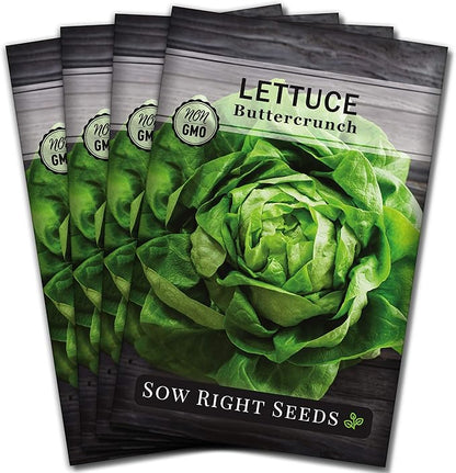 Sow Right Seeds - Buttercrunch Lettuce Seeds for Planting - Non-GMO Heirloom Packet with Instructions to Plant a Home Vegetable Garden - Outdoors or Hydroponics Indoors - Heat Tolerant Variety (4)