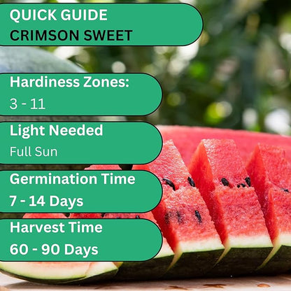 Crimson Sweet Watermelon Seeds for Planting – Heirloom, Non-GMO Watermelon Seeds for Home Gardens, Large Sweet Red Watermelons with Seeds | Woods Creek Seeds