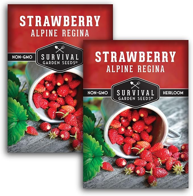 Alpine Regina Strawberry Seed for Planting - 2 Packets with Instructions to Plant & Grow Wild or Woodland Strawberries in The Home Vegetable Garden - Non-GMO Heirloom Variety - Survival Garden Seeds