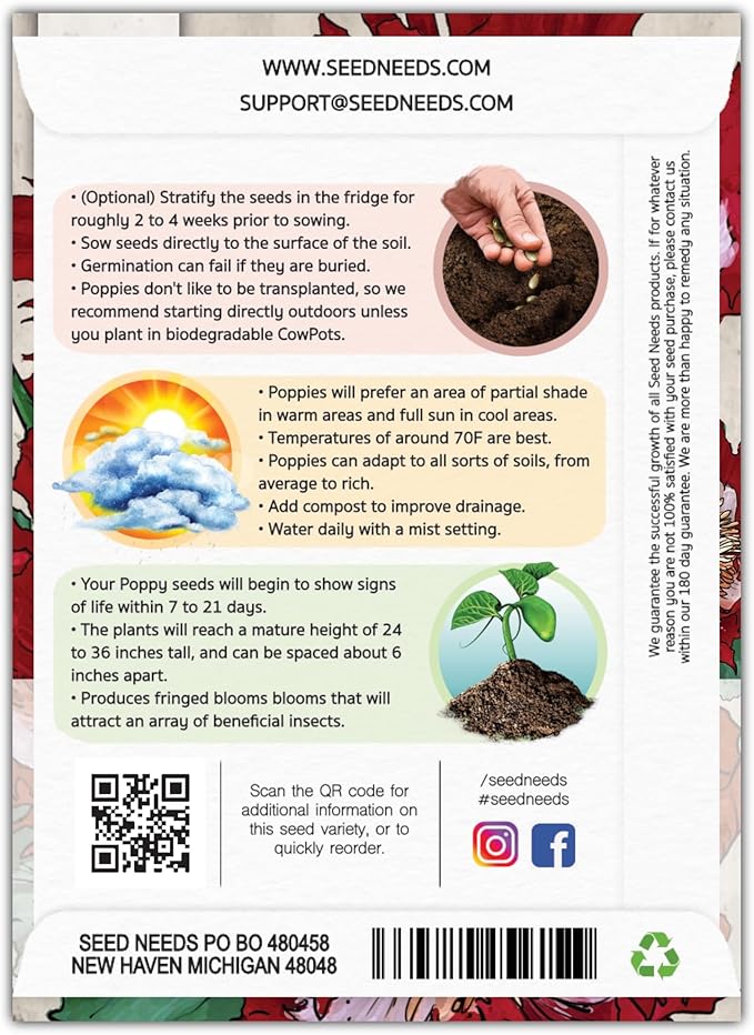 Seed Needs Danish Flag Poppy Seeds for Planting - Heirloom & Open Pollinated Annual Flowers - Attracts Pollinators/Butterflies to a Butterfly Garden (2 Packs)