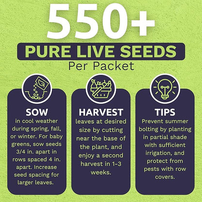 Organic Arugula Seeds - 2 Seed Packets! - Over 1,100 Open Pollinated Non-GMO USDA Organic Seeds