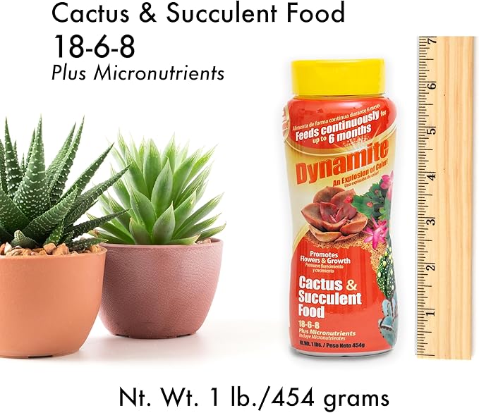 Dynamite Cactus & Succulent Food 18-6-8 - Plant Food for Indoor/Outdoor Cacti & Succulents - Continuous Feeding Up to 6 Months - Promotes Growth & Flowering - Includes Micronutrients
