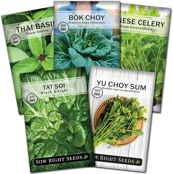 Sow Right Seeds - Asian Greens Seed Collection for Planting - Includes Thai Basil, Bok Choy, Chinese Celery, Tat SOI & Yu Choy Sum - Non-GMO Heirloom Varieties to Plant and Grow Indoors or Outdoors