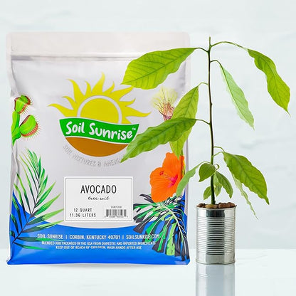 Soil Sunrise Avocado Tree Potting Soil Mix (12 Quarts) for Germinating, Growing and Repotting Avocado Plants