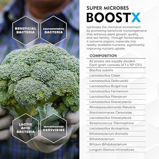 BoostX – Organic Plant Fertilizer | Premium NPK Nutrients for Stronger Plants & Better Flowering | Mycorrhizae & Trichoderma for Improved Growth