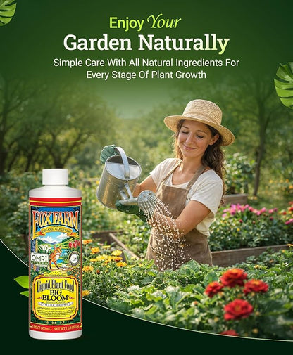 Fox Farm Big Bloom Liquid Plant Food - Organic Bloom Fertilizer for Flowering & Fruiting Plants, Contains Earthworm Castings & Bat Guano - Supports All Stages of Plant Growth - 0-0.5-0.7 NPK, 1 Pint