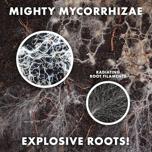 Mycorrhizae 16 Species Inoculant (1 lb) Improves Drought Tolerance + Saves Precious Water + Fertilizer, Root Stimulator • Explodes Root Growth [1 lb Treats 19,200 (4 inch) Plants]