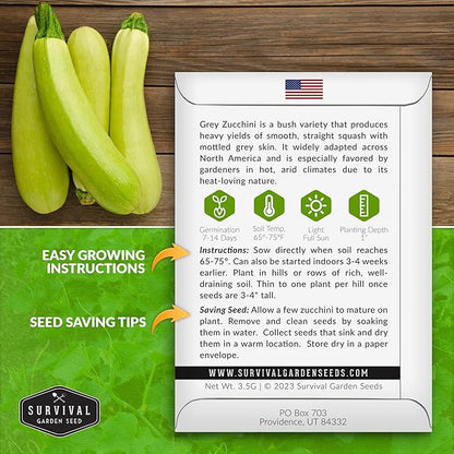 Survival Garden Seeds - Grey Zucchini Seed for Planting - 3 Packs with Instructions to Plant and Grow Mexican Summer Squash in Your Home Vegetable Garden - Non-GMO Heirloom Variety